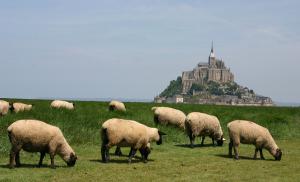 Hôtel gîte et bar sur Mont Saint Michel